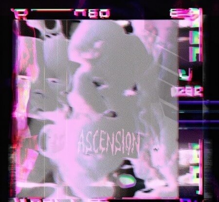 Lukrative Ascension Serum Bank + Loop Kit WAV Synth Presets